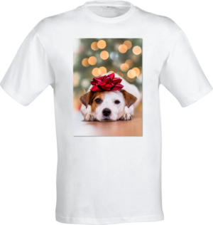 T-shirt vit